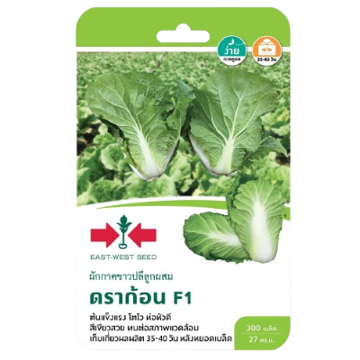 ขาวปลีดราก้อนF1ศรแดงGG*600